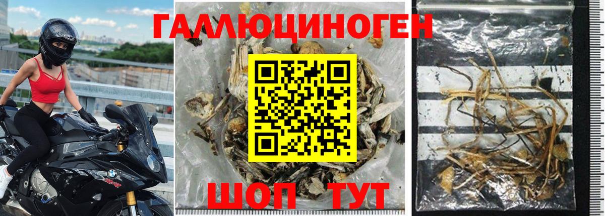 Псилоцибиновые грибы Magic Shrooms  Вход с VPN  Коркино 